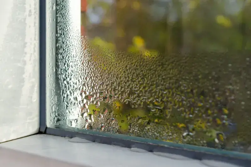 Condensation beading on a window pane, the kind of moisture Kansas humidity brings